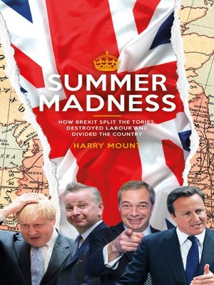cover image of Summer Madness